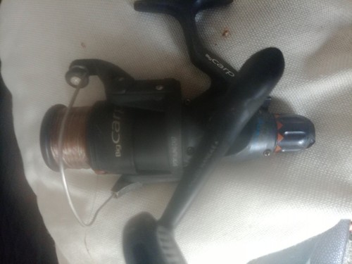 Big carp sport long - carp, cast