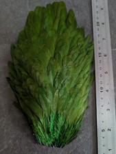 Iridescent Emerald Green Metz