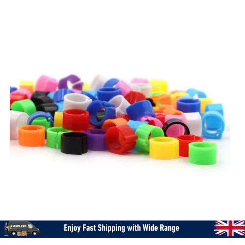 100pcs mixed colour bird rings - colour,
