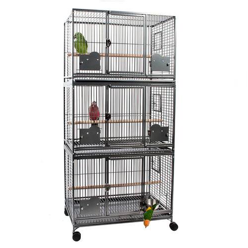 Parrot grande triple - triple,