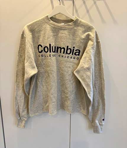 Champion men grey - men's, pullover
