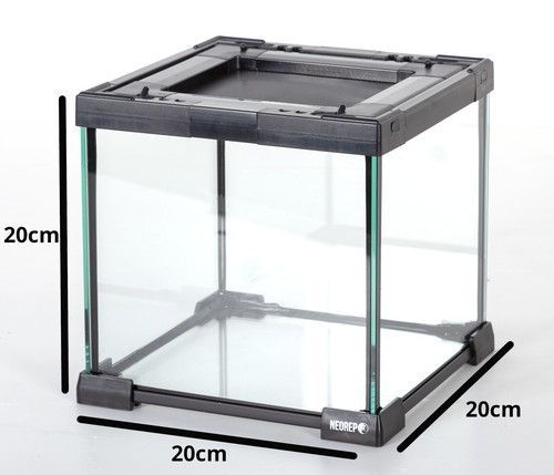 Neorep glass - neorep,