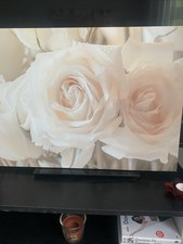 STUNNING ROSES CANVAS. WALL