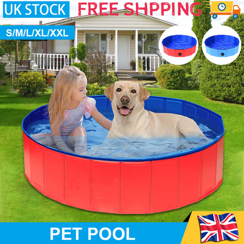 Large pet bath dog swimming - pet,