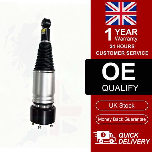 Rear air suspension shock - suspension,