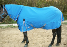 600D COMBO WINTER TURNOUT RUG, 280G POLYFILLING (Turquoise)