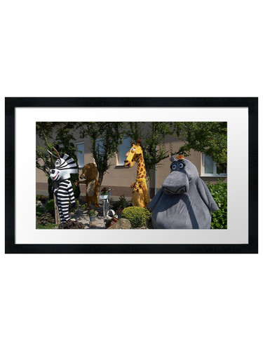 Safari friends group framed - friends,