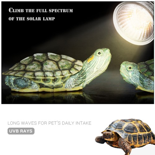 50w basking heat lamp sun - heat,