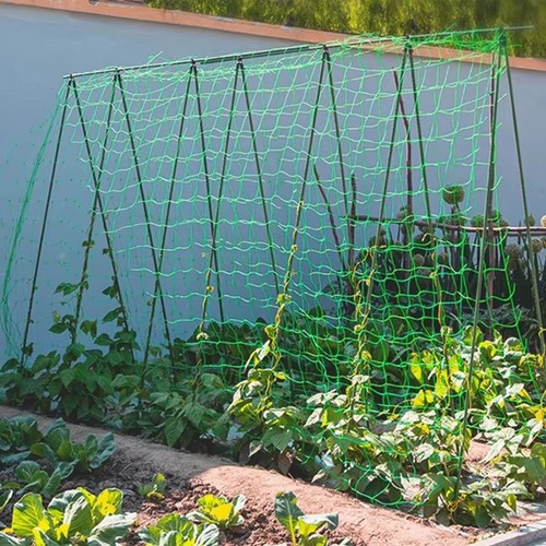 Heavy duty plant - heavy, trellis