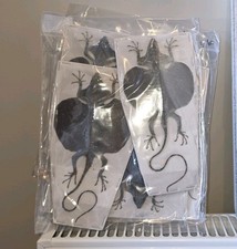 Draco hennigi - curved tail