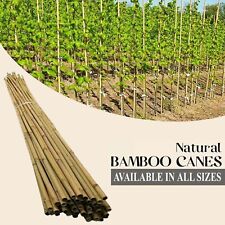 2FT 3FT 4FT 5FT 6FT 7FT 8FT HEAVY DUTY BAMBOO CANES GARDEN PLANT SUPPORT STICKS