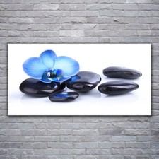 Print on Glass Wall art 120x60 Picture Image Flower Stones Art