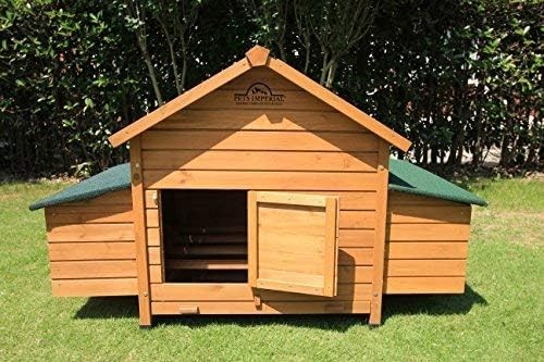Savoy double chicken - 🐔, coop