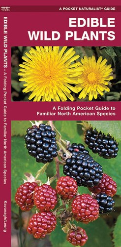 Edible wild plants food - wild,