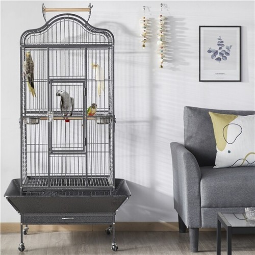 African grey cage - african,