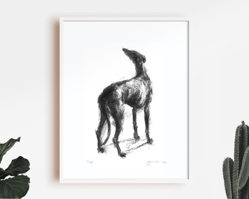 100 project galgo charity - 100%,