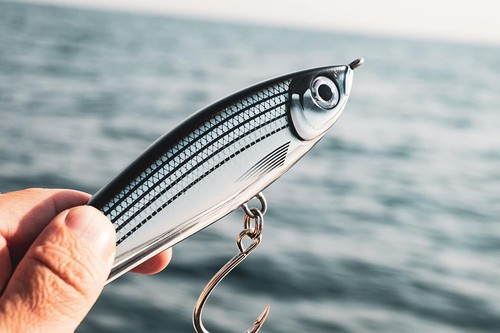 Rapala rap magnum - x-rap, stick