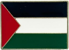 Palestine Palestinian Flag Pin