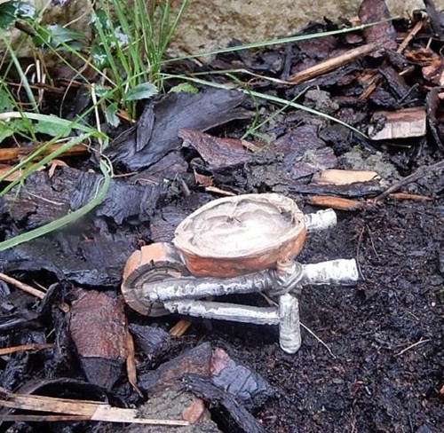 Miniature fairy garden - miniature,