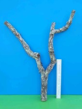 CORK BARK BRANCH 64CM LEOPARD