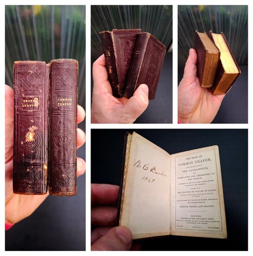 1845 matched oxford - 1845,