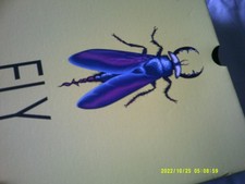 BOOTS[ FLY LONDON RAGI] DARK