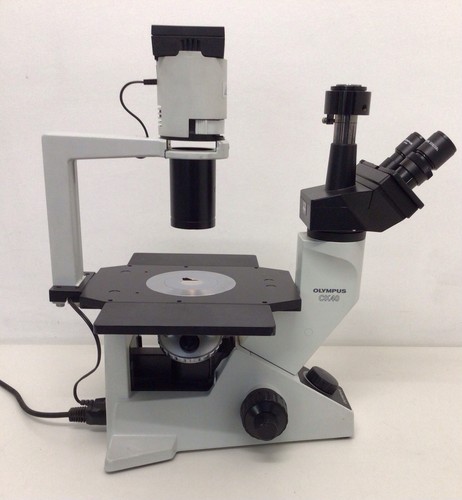 Olympus ck40 inverted - olympus,