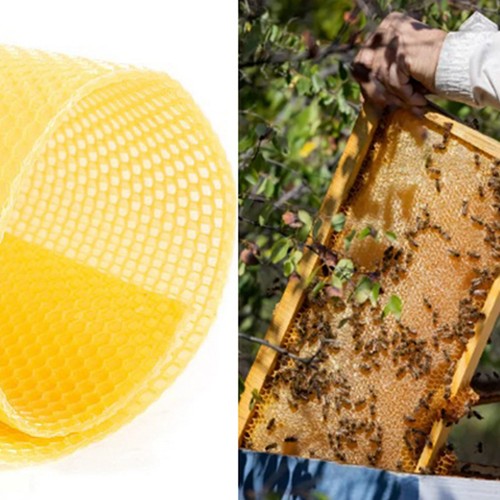 Beeswax sheets - beeswax,