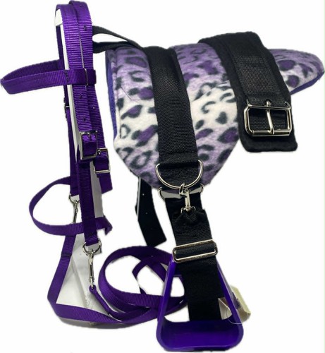 Miniature horse sm - miniature,