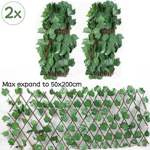 Expanding garden trellis - 2x,