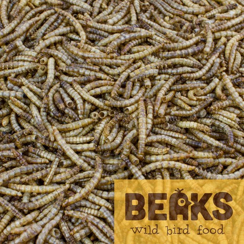 High quality dried mealworms