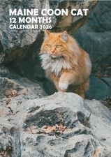 Maine Coon Cats 2026 Calendars (A3)