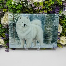 Samoyed Winter 8inchx11inch Glass Chopping Board