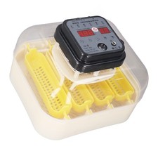Single Electric 16 Eggs Incubator Smart Thermostatic Control Egg Hatching In HOT