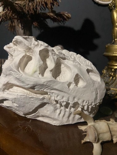 Rek head skull replica - head,