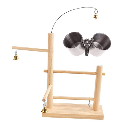 Parrot playstand bird - playstand,