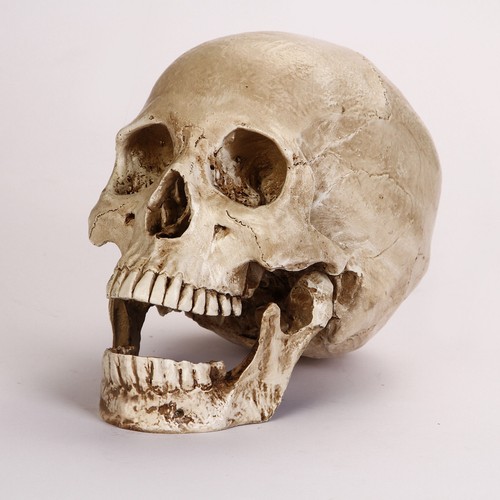 Lifesize realistic human - lifesize,