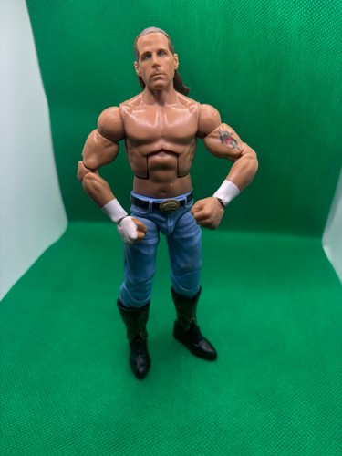 Shawn michaels summerslam - shawn,