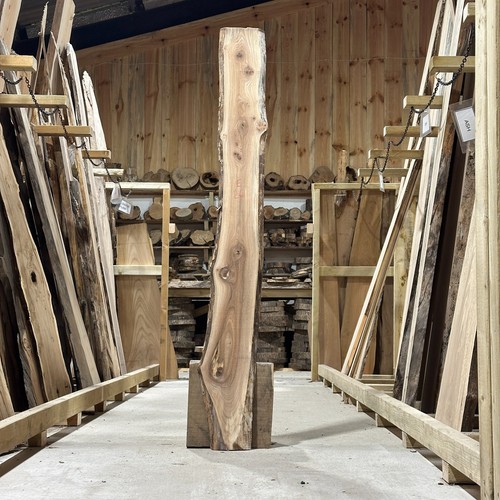 Elm plank board waney - elm,