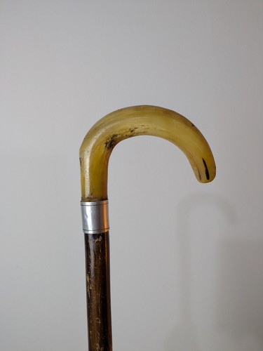 Shepherds crook rams horn - rams,