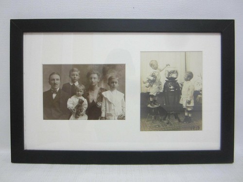 Antique photo steiff - antique,