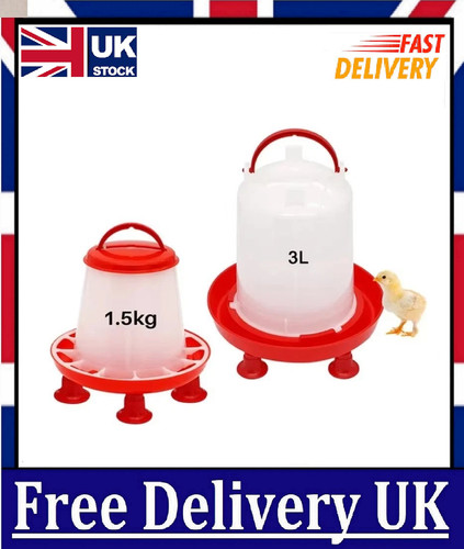 Chicken poultry feeder - poultry,
