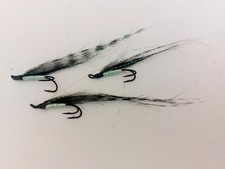 3 x tiger sunrays size  8