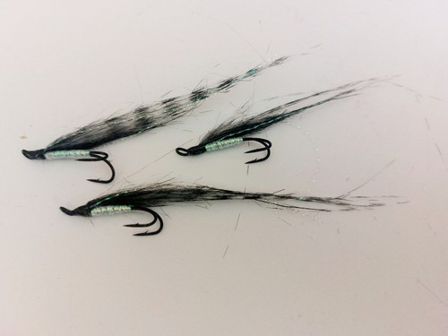Tiger sunrays size - 3, 8