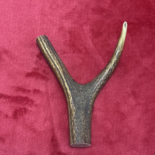 One piece deer antler y - of, antler,