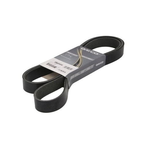 Multi belt fits daf - daf, xf