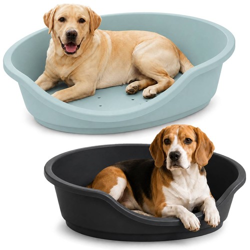 Hard plastic dog cat pet - cat,