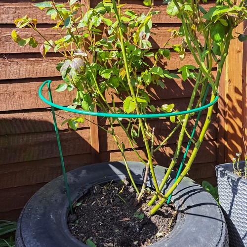 Woodside steel garden plant - woodside,