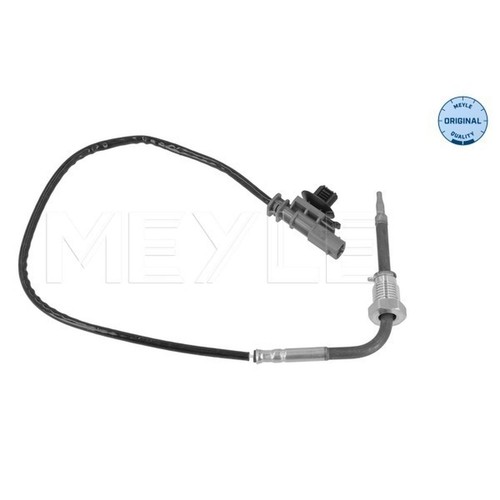 Exhaust gas temperature - gas,