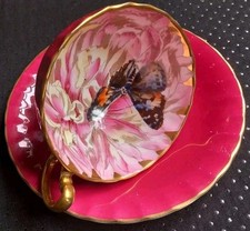 Aynsley Butterfly On